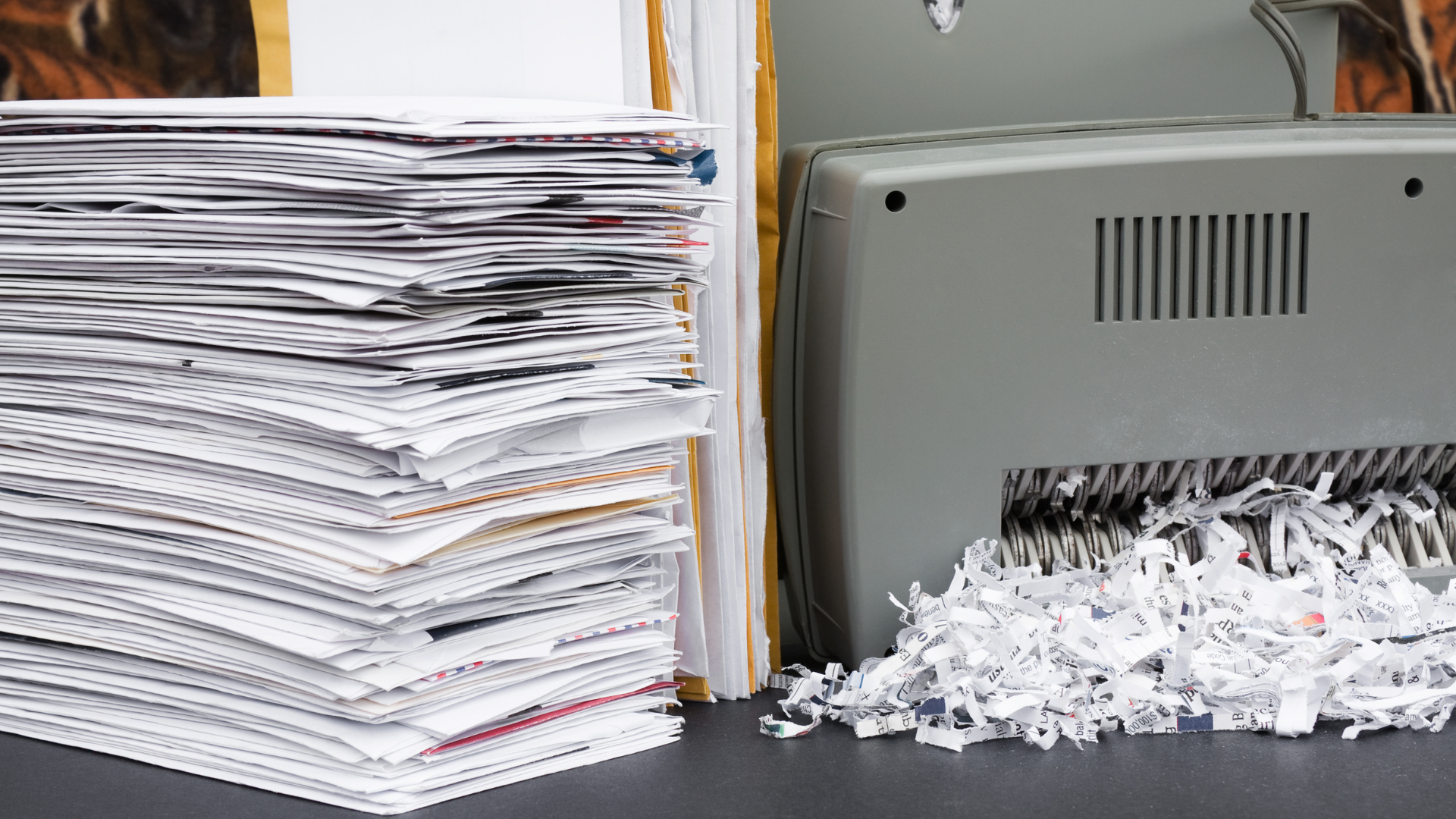 paper shredding
